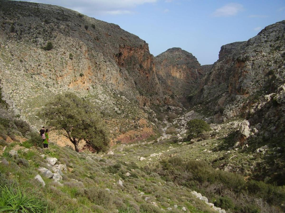 Carissa House In Crete Apartment ซิเตีย ภายนอก รูปภาพ