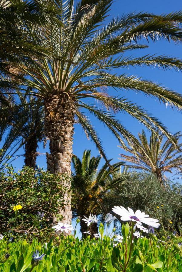 Carissa House In Crete Apartment ซิเตีย ภายนอก รูปภาพ